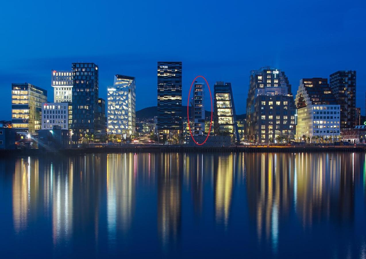 Spacious Modern 3Br Apartment At Central Oslo Barcode エクステリア 写真