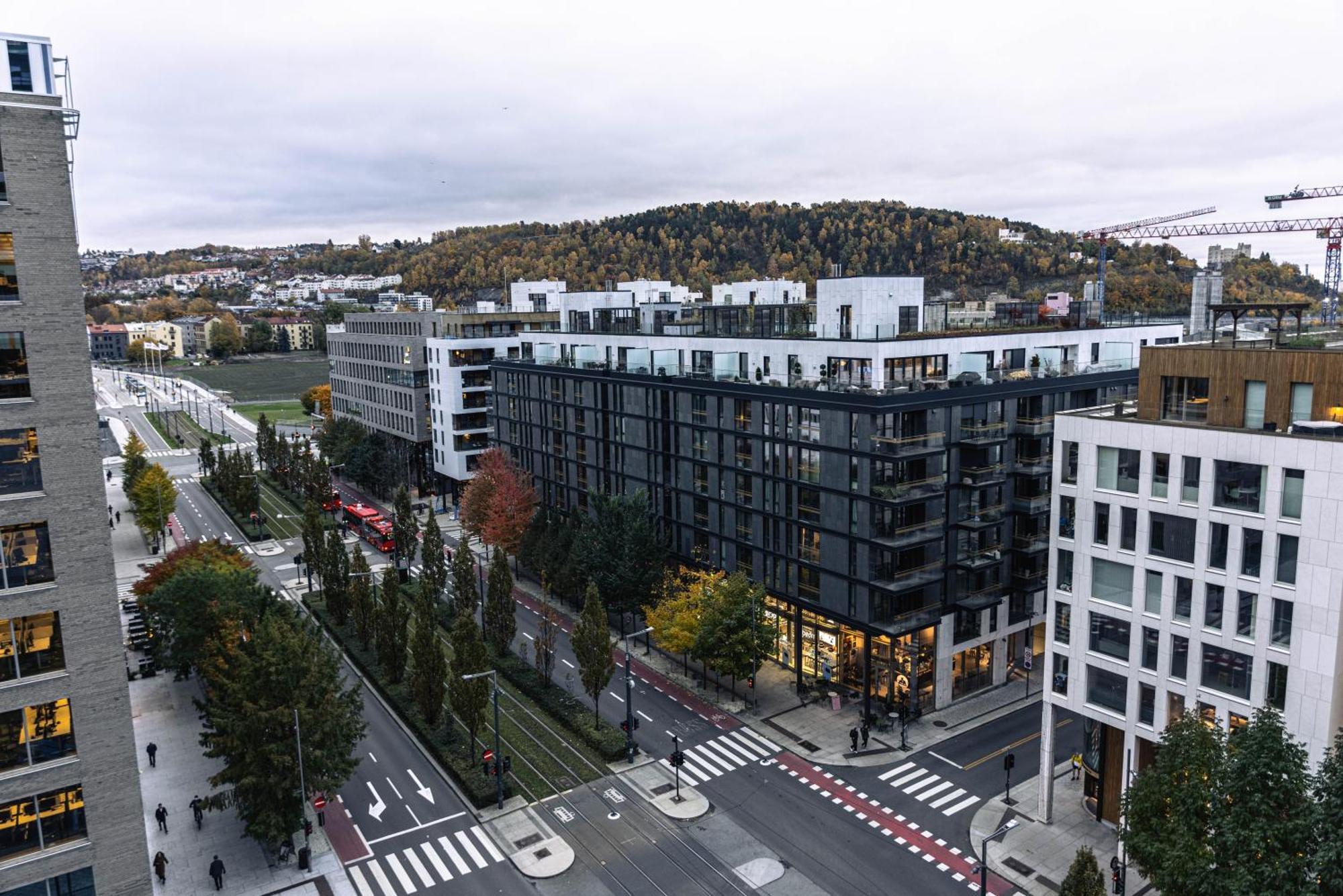 Spacious Modern 3Br Apartment At Central Oslo Barcode エクステリア 写真