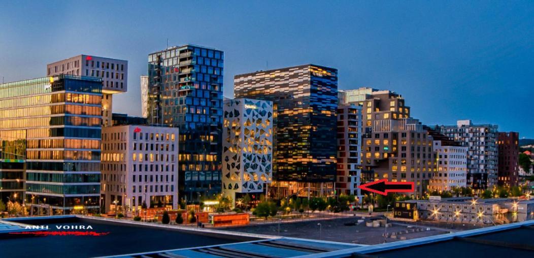 Spacious Modern 3Br Apartment At Central Oslo Barcode エクステリア 写真